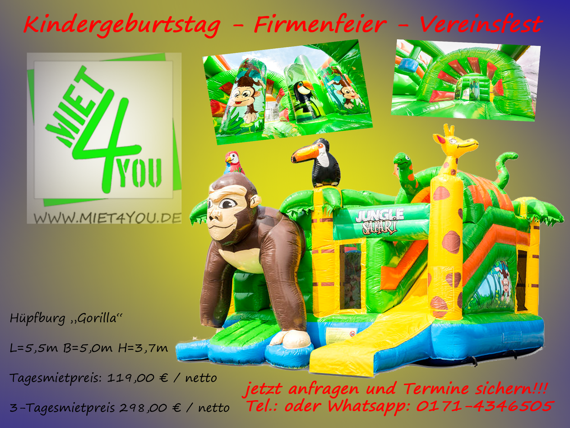 Werbebild Gorilla