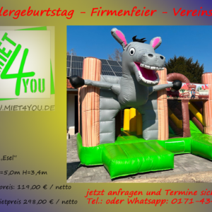 Freitag-Sonntag Miete Esel